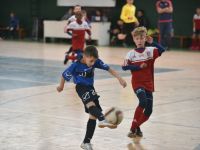 DSC_3674.jpg