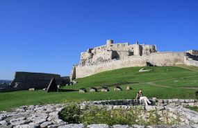 IMG_3967[1].jpg
