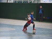 DSC_3676.jpg